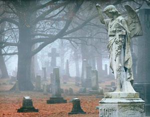 Woodland Cemetery photo